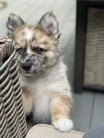 processed/51d120c9-4c35-481d-8836-7441d84db7cb/facility/0ce72a7d-6b05-49fa-8651-b635fbd5b468