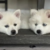 processed/51d120c9-4c35-481d-8836-7441d84db7cb/facility/13a9381a-0818-4bd3-950b-c025e05186e8