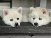 processed/51d120c9-4c35-481d-8836-7441d84db7cb/facility/13a9381a-0818-4bd3-950b-c025e05186e8