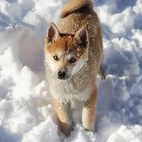 processed/51d120c9-4c35-481d-8836-7441d84db7cb/facility/2239bf38-b66d-4cc0-838e-da1cff59474a