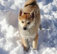 processed/51d120c9-4c35-481d-8836-7441d84db7cb/facility/2239bf38-b66d-4cc0-838e-da1cff59474a