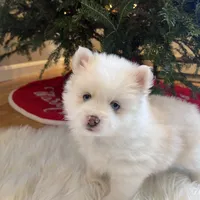 processed/51d120c9-4c35-481d-8836-7441d84db7cb/facility/6555142d-ad7c-4a08-9a88-83f7d877e73f