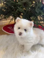 processed/51d120c9-4c35-481d-8836-7441d84db7cb/facility/6555142d-ad7c-4a08-9a88-83f7d877e73f