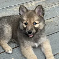 processed/51d120c9-4c35-481d-8836-7441d84db7cb/facility/7a7f9bf5-f68b-4765-b5b8-1d5b25a04c6e