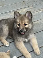 processed/51d120c9-4c35-481d-8836-7441d84db7cb/facility/7a7f9bf5-f68b-4765-b5b8-1d5b25a04c6e