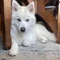 processed/51d120c9-4c35-481d-8836-7441d84db7cb/facility/848f24f2-b1ad-4374-8468-05d82d5dd8ba