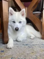 processed/51d120c9-4c35-481d-8836-7441d84db7cb/facility/848f24f2-b1ad-4374-8468-05d82d5dd8ba