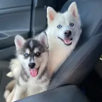 processed/51d120c9-4c35-481d-8836-7441d84db7cb/facility/8bd60d85-8490-4f1f-9f64-ddd0c5deda44