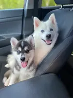 processed/51d120c9-4c35-481d-8836-7441d84db7cb/facility/8bd60d85-8490-4f1f-9f64-ddd0c5deda44