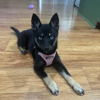 processed/51d120c9-4c35-481d-8836-7441d84db7cb/facility/93f39ebf-5ac1-48b7-9a23-7fce5ba9fa48