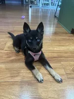 processed/51d120c9-4c35-481d-8836-7441d84db7cb/facility/93f39ebf-5ac1-48b7-9a23-7fce5ba9fa48