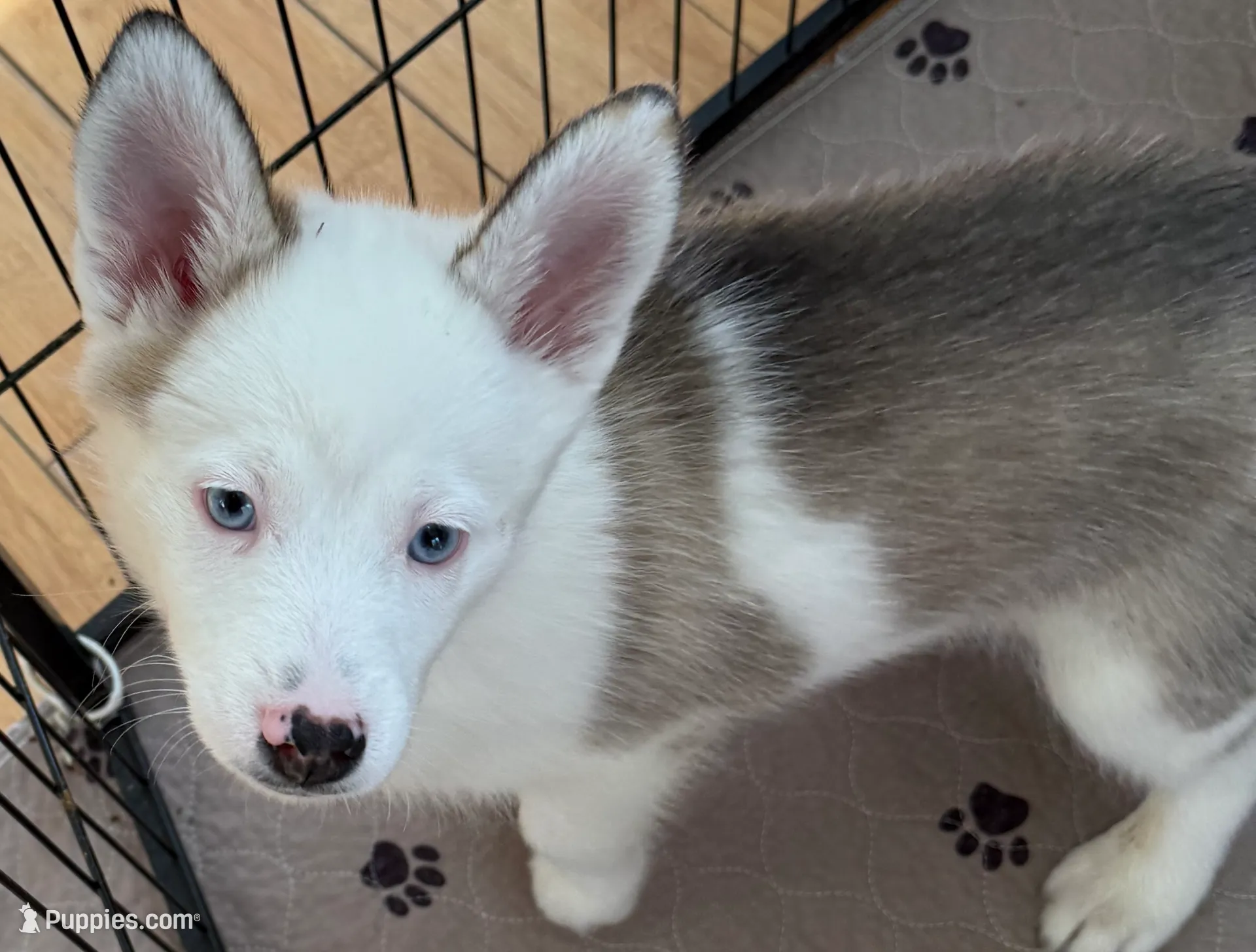 processed/51d120c9-4c35-481d-8836-7441d84db7cb/listing/53deb748-84bf-4e48-97c5-f295a561ed59/56076734-6d6f-4b7c-8793-11049ce6db4d