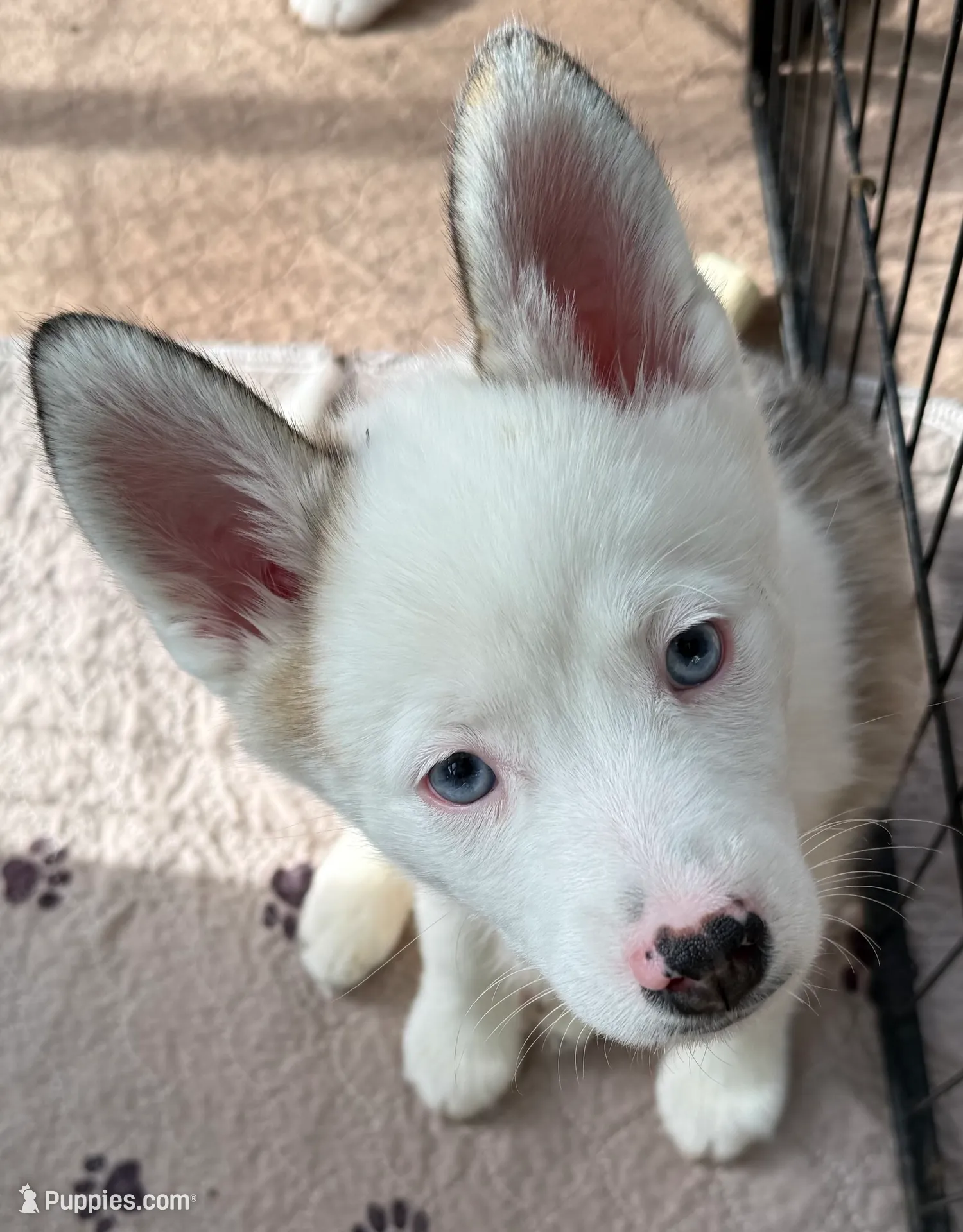 processed/51d120c9-4c35-481d-8836-7441d84db7cb/listing/53deb748-84bf-4e48-97c5-f295a561ed59/90ac78ed-8075-43c5-ae87-e0aed4ffb41a