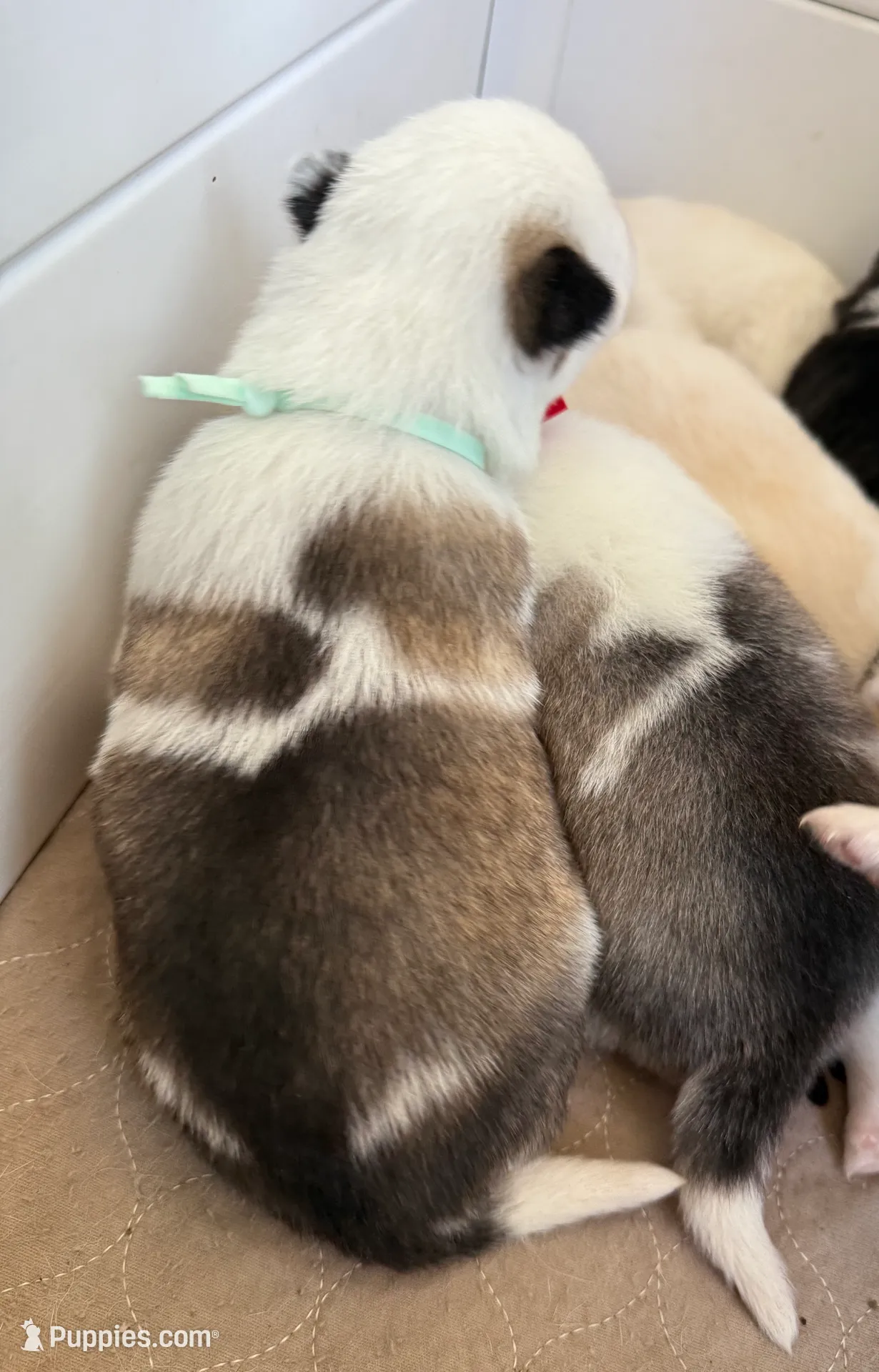 processed/51d120c9-4c35-481d-8836-7441d84db7cb/listing/53deb748-84bf-4e48-97c5-f295a561ed59/b92c3dfd-9b4f-40eb-a002-956e1f919794