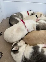 processed/51d120c9-4c35-481d-8836-7441d84db7cb/listing/c0879a2d-2622-4941-8c38-69e14c961838/23f65b45-93c4-4401-bc21-fd8ccb196860