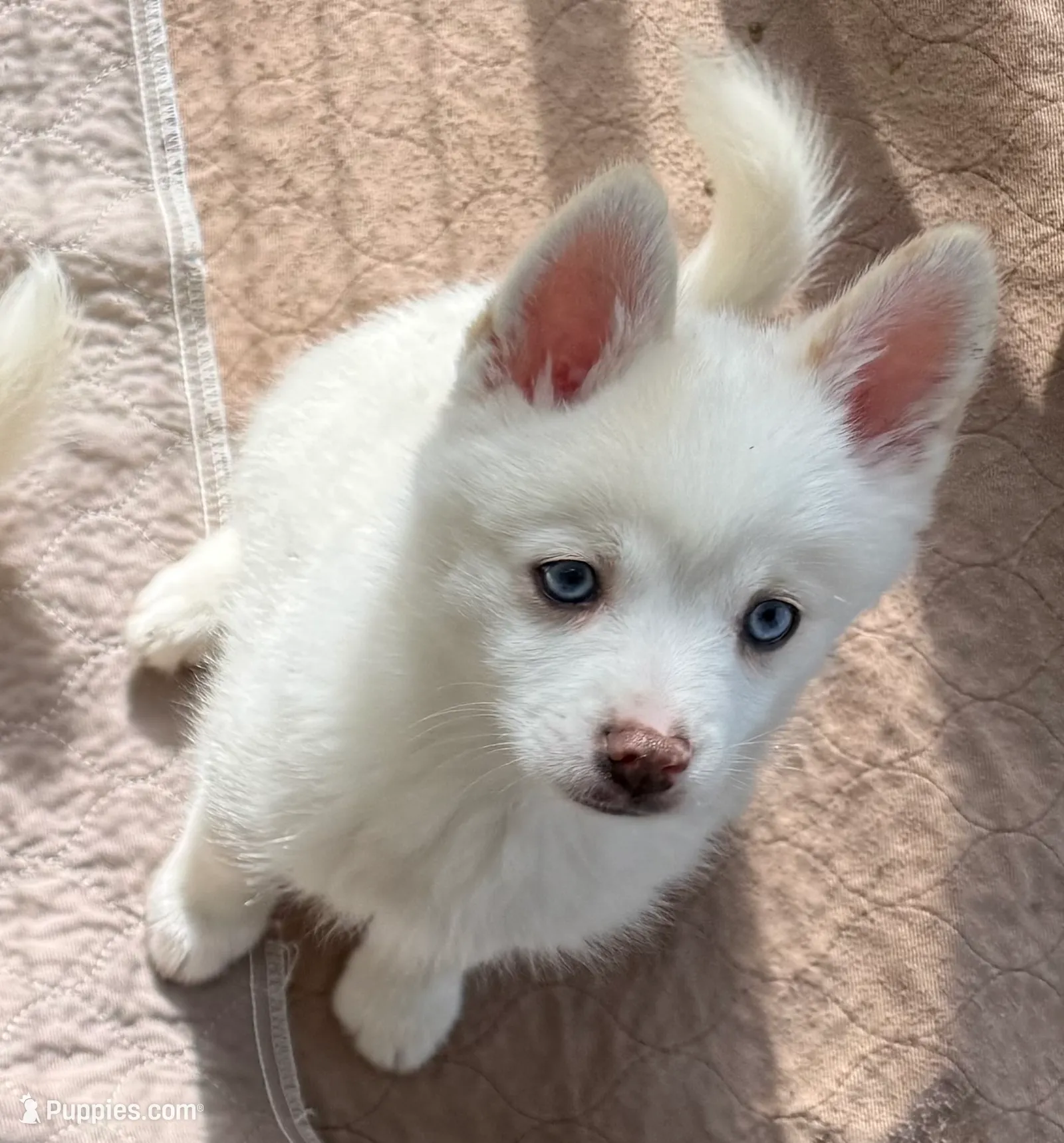 processed/51d120c9-4c35-481d-8836-7441d84db7cb/listing/c0879a2d-2622-4941-8c38-69e14c961838/3ae56171-03f1-489f-8c7f-34d9047ce8d8