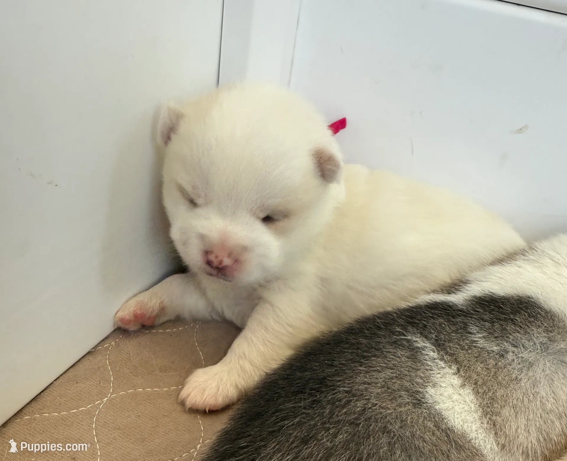 processed/51d120c9-4c35-481d-8836-7441d84db7cb/listing/c0879a2d-2622-4941-8c38-69e14c961838/67eb5b16-a4dc-40e6-af7b-db11109053a1