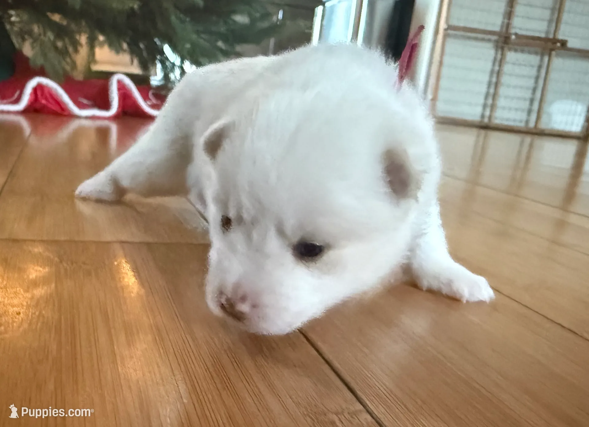 processed/51d120c9-4c35-481d-8836-7441d84db7cb/listing/c0879a2d-2622-4941-8c38-69e14c961838/f74ff744-d7bf-4859-bc20-085c403685ba