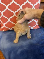 processed/51d1efd7-6739-423e-8a4c-5cd2f34ae12c/listing/e22e1d49-45aa-41a5-9df2-8280cc0ee078/32dedcd2-8861-41eb-858a-b36ab82e1fea