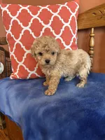 processed/51d1efd7-6739-423e-8a4c-5cd2f34ae12c/listing/e22e1d49-45aa-41a5-9df2-8280cc0ee078/4ef35d48-6c19-435f-9cc8-b9257121c34f