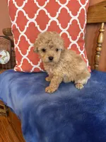 processed/51d1efd7-6739-423e-8a4c-5cd2f34ae12c/listing/e22e1d49-45aa-41a5-9df2-8280cc0ee078/504b749e-dceb-47b5-a252-aeceb611b28b