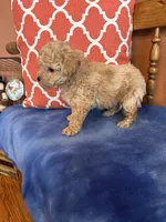 processed/51d1efd7-6739-423e-8a4c-5cd2f34ae12c/listing/e22e1d49-45aa-41a5-9df2-8280cc0ee078/51bb6718-a357-4a8b-90dd-4531fb90869e