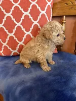 processed/51d1efd7-6739-423e-8a4c-5cd2f34ae12c/listing/e22e1d49-45aa-41a5-9df2-8280cc0ee078/5edc06bf-bce8-4cde-af24-ca62b4a2e420