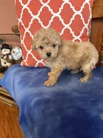 processed/51d1efd7-6739-423e-8a4c-5cd2f34ae12c/listing/e22e1d49-45aa-41a5-9df2-8280cc0ee078/96bfaa56-f337-4ef1-b00c-7108fa562807