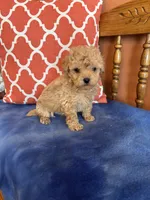 processed/51d1efd7-6739-423e-8a4c-5cd2f34ae12c/listing/e22e1d49-45aa-41a5-9df2-8280cc0ee078/97395375-c6ac-4a1f-94cd-81370c0a89ef