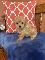 processed/51d1efd7-6739-423e-8a4c-5cd2f34ae12c/listing/e22e1d49-45aa-41a5-9df2-8280cc0ee078/ef2d57f6-f439-4371-965c-266f4a475042