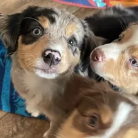 processed/51d3fdc9-cb06-4b0f-84ea-7487f9793359/facility/236a52c5-b80c-43d6-982f-11de83ba6a28