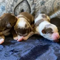 processed/51d3fdc9-cb06-4b0f-84ea-7487f9793359/facility/52116ce8-7b33-4e76-af81-575a79fb746c