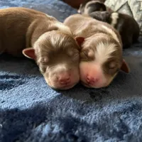 processed/51d3fdc9-cb06-4b0f-84ea-7487f9793359/facility/74196e82-d2e3-417f-b127-cc6d1fd3bb13