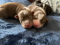 processed/51d3fdc9-cb06-4b0f-84ea-7487f9793359/facility/74196e82-d2e3-417f-b127-cc6d1fd3bb13