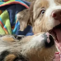 processed/51d3fdc9-cb06-4b0f-84ea-7487f9793359/facility/76d6a079-f7e0-45e4-adc7-9bd36e4d33ca