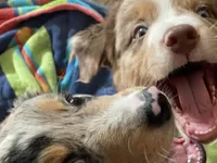 processed/51d3fdc9-cb06-4b0f-84ea-7487f9793359/facility/76d6a079-f7e0-45e4-adc7-9bd36e4d33ca