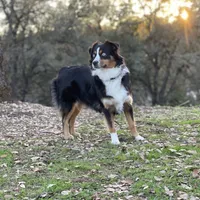 processed/51d3fdc9-cb06-4b0f-84ea-7487f9793359/facility/9dbc759a-e554-407f-a82f-6135bfe3fb61