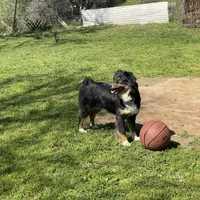 processed/51d3fdc9-cb06-4b0f-84ea-7487f9793359/facility/cef3fef8-c6a9-47c5-958f-d7b93c3de696