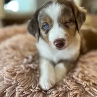 processed/51d3fdc9-cb06-4b0f-84ea-7487f9793359/facility/fa9c6970-e36c-44f3-acb6-014a680ca7ab