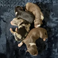 processed/51d3fdc9-cb06-4b0f-84ea-7487f9793359/facility/fbd89ad0-c98d-42c2-b982-645f2873bb60