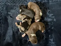 processed/51d3fdc9-cb06-4b0f-84ea-7487f9793359/facility/fbd89ad0-c98d-42c2-b982-645f2873bb60