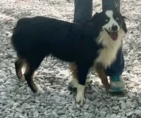 processed/51d3fdc9-cb06-4b0f-84ea-7487f9793359/listing/1c29c99d-e724-4587-b5da-00aca6199191/319a6ce6-966f-4853-a461-7e28e419e9cc