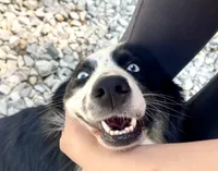 processed/51d3fdc9-cb06-4b0f-84ea-7487f9793359/listing/1c29c99d-e724-4587-b5da-00aca6199191/3c865528-6c63-4596-87ae-6898b7c5a30a