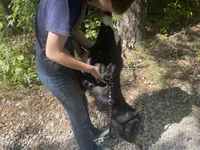 processed/51d3fdc9-cb06-4b0f-84ea-7487f9793359/listing/1c29c99d-e724-4587-b5da-00aca6199191/3f9f6f67-9c02-41bb-ad95-640d7eb1b779