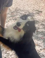 processed/51d3fdc9-cb06-4b0f-84ea-7487f9793359/listing/1c29c99d-e724-4587-b5da-00aca6199191/52afd794-3a31-4f0d-9c60-dd86355ab898