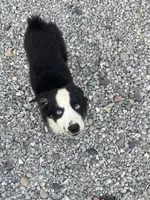 processed/51d3fdc9-cb06-4b0f-84ea-7487f9793359/listing/1c29c99d-e724-4587-b5da-00aca6199191/643d571c-ab1f-49c1-b264-8a20c1353d20