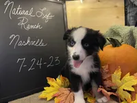 processed/51d3fdc9-cb06-4b0f-84ea-7487f9793359/listing/1c29c99d-e724-4587-b5da-00aca6199191/897e8bdb-46e4-49b5-bd5b-34c599f1988c