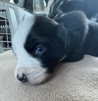 processed/51d3fdc9-cb06-4b0f-84ea-7487f9793359/listing/1c29c99d-e724-4587-b5da-00aca6199191/c0cea9d2-6669-4e07-9a07-248b93ffe211