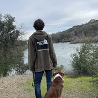 Timberline "Cedar" Summit, a male Miniature Australian Shepherd for sale in Somerset, KY – Photo 2 of 10