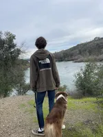 Cedar, a male Australian Shepherd for sale in Somerset, KY – Photo 2 of 10